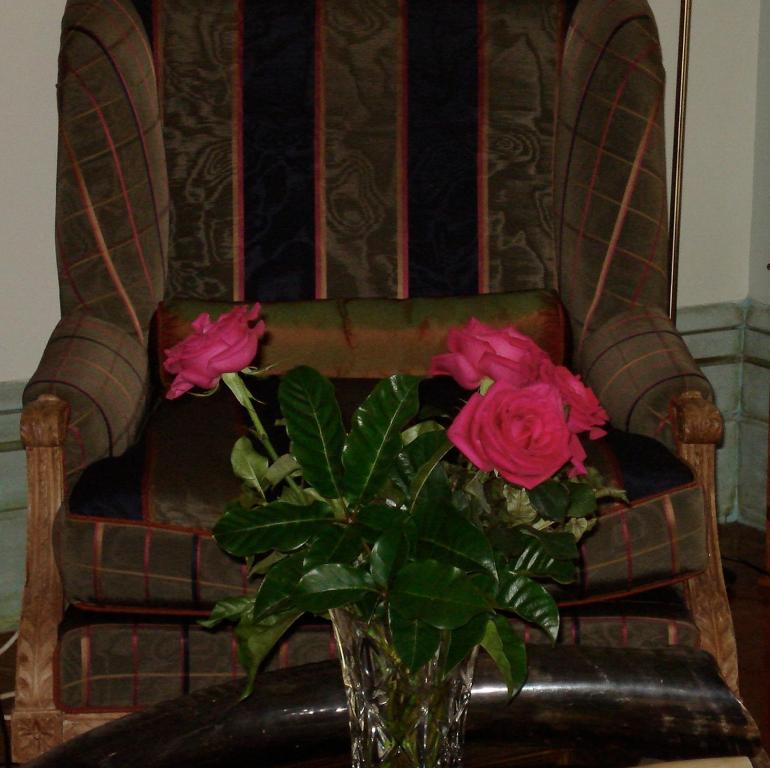 Cotter House Luxury Retreat Bed and Breakfast Auckland Eksteriør billede